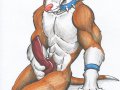 PITBULL.jpg